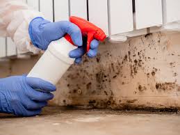 Best Mold Remediation for Healthcare Facilities  in Wainaku, HI